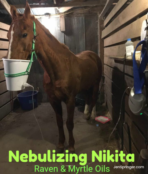 Nikita Nebulizing